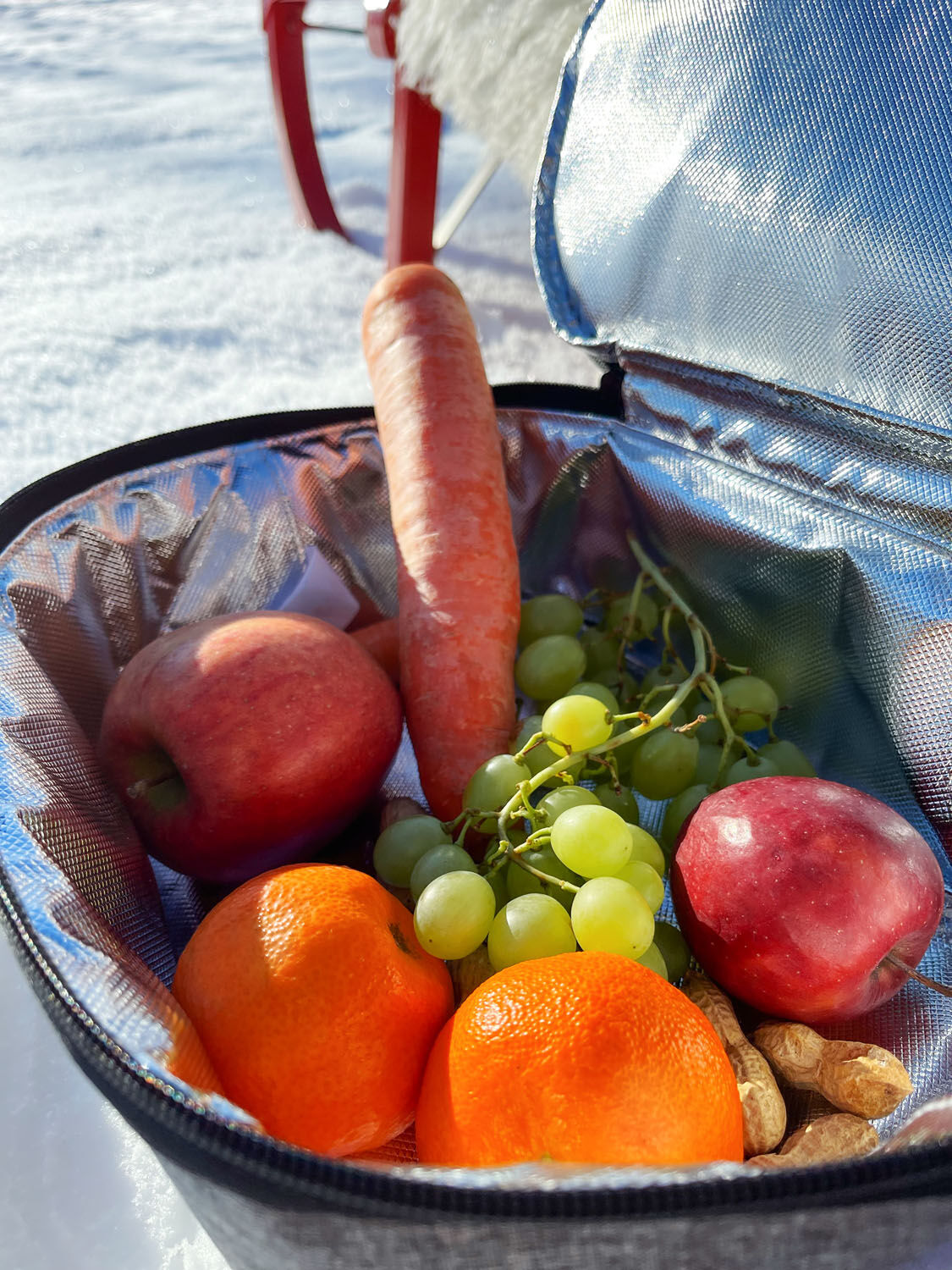 Reisenthel Thermo coolerbag M pocket twist silver