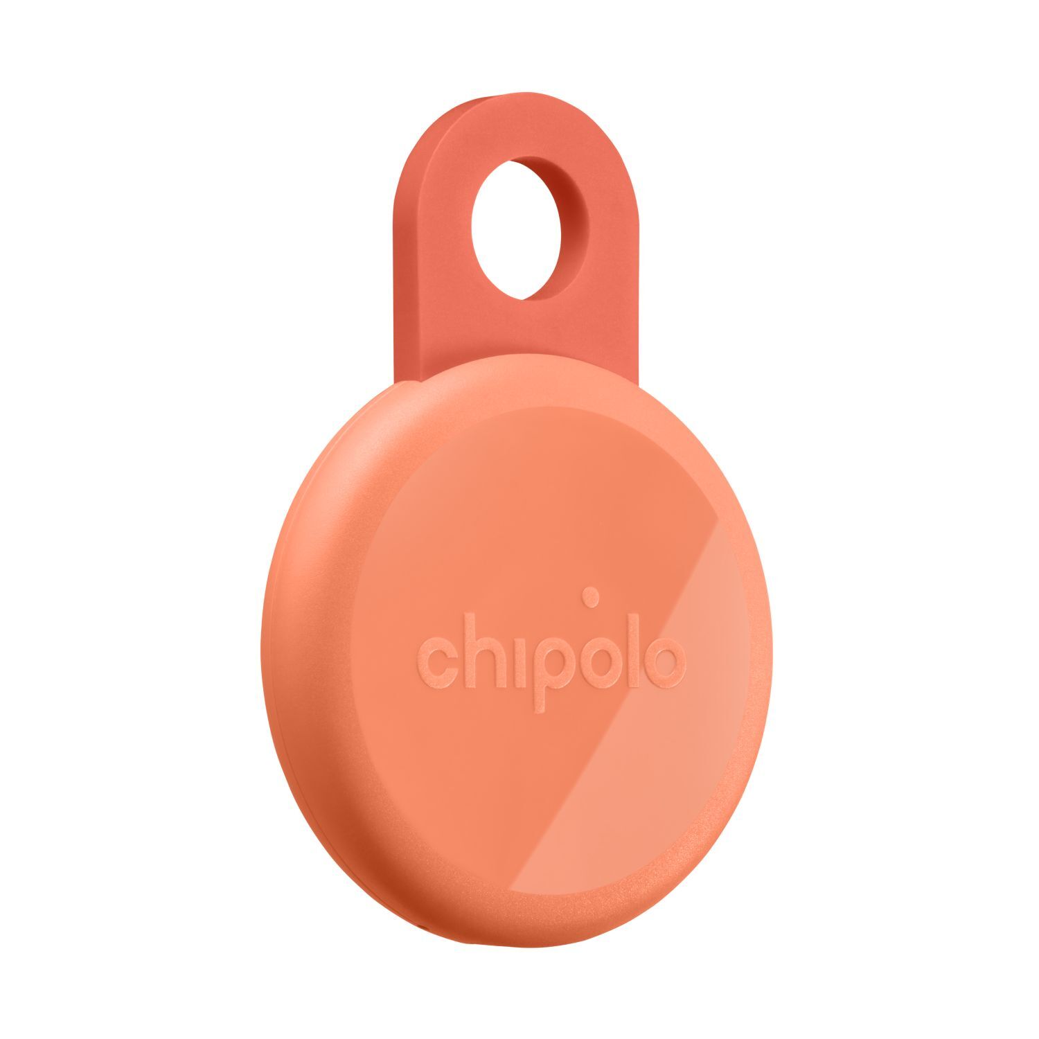 Chipolo Loop, Koralle