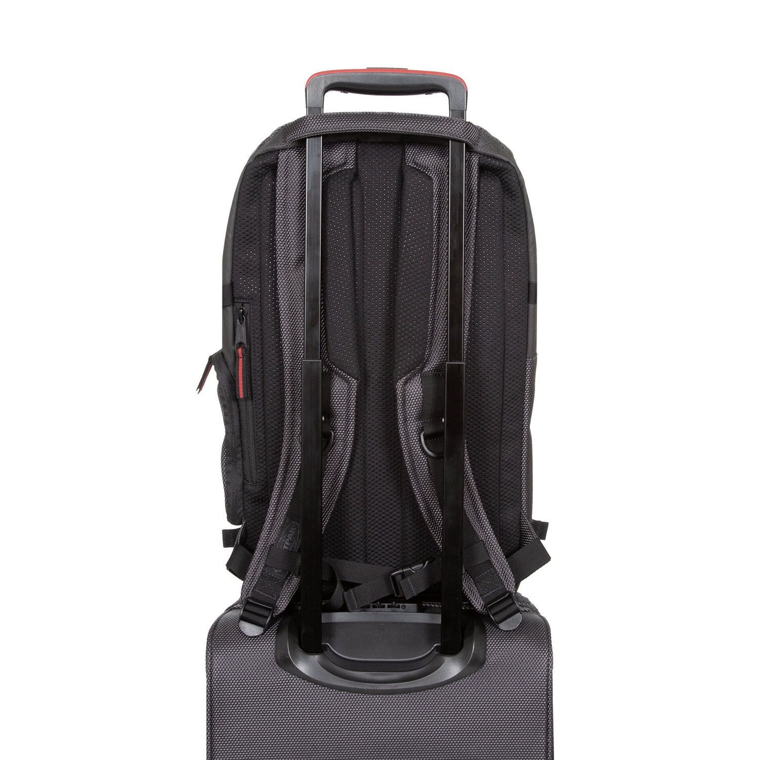 Eastpak Tecum Rucksack L mit 15" Laptopfach CNNCT Accent Grey