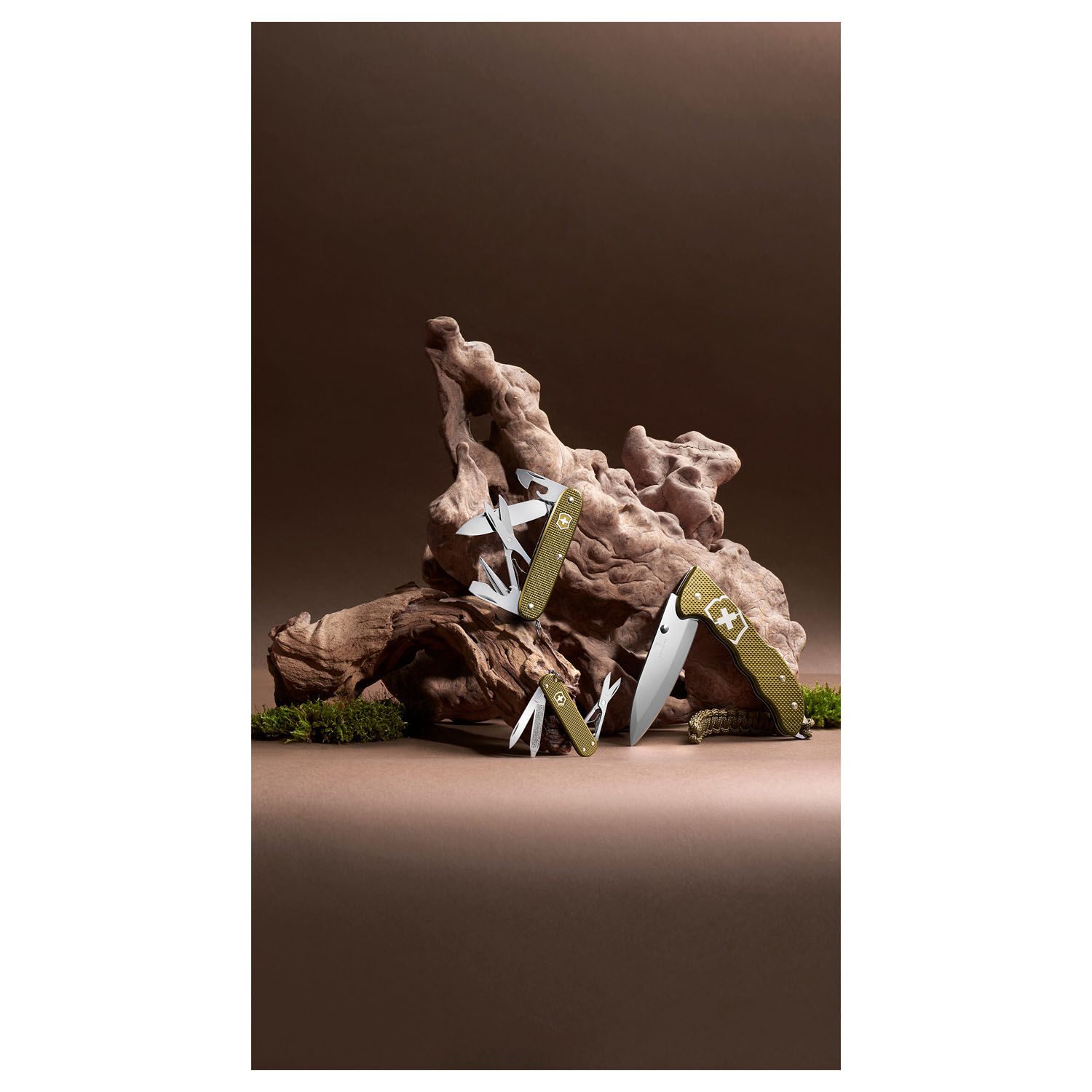 Victorinox Evoke Alox Limited Edition 2024 Terra Brown