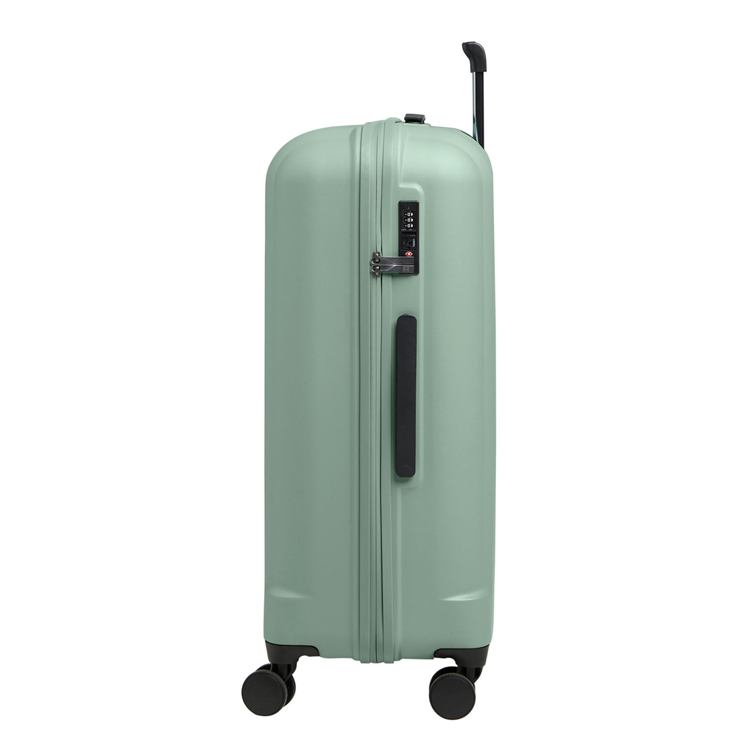 GOT BAG RE:Shell Checked reef