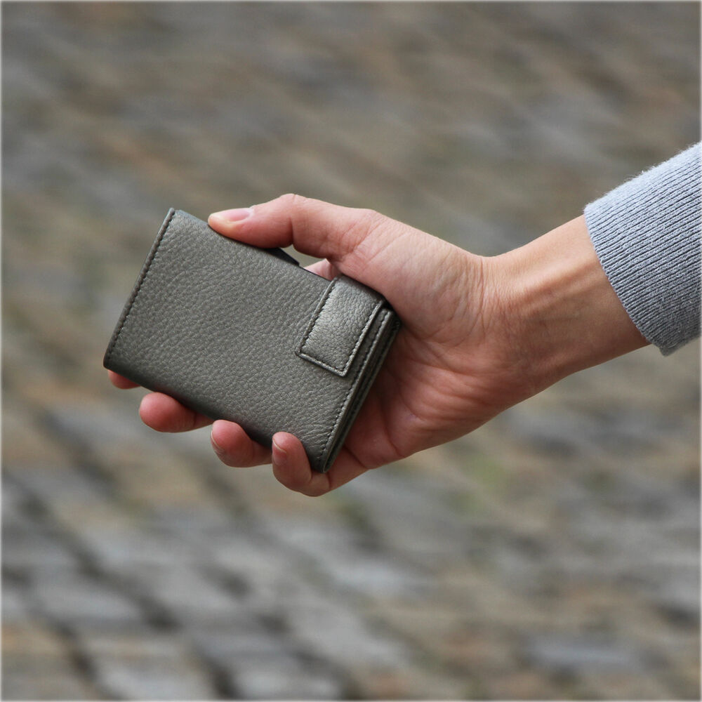 SecWal Metallic Kartenetui mit Münzfach Reißverschluss Metallic grau