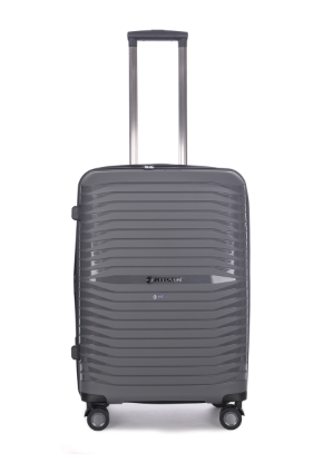 Stratic Bright + Koffer L Grey Stratic Bright + Koffer L Grey