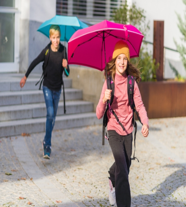 Knirps Rookie Manual reflective flamingo