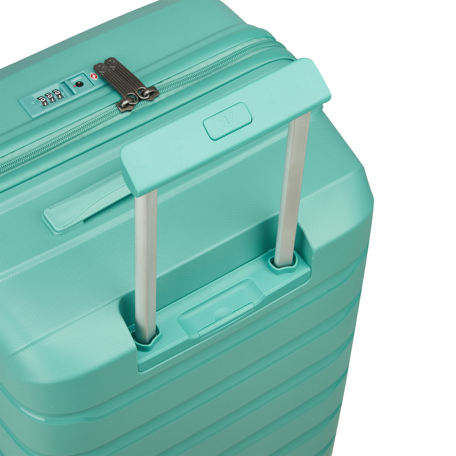 Roncato B-Flying Trunk Medium salvia