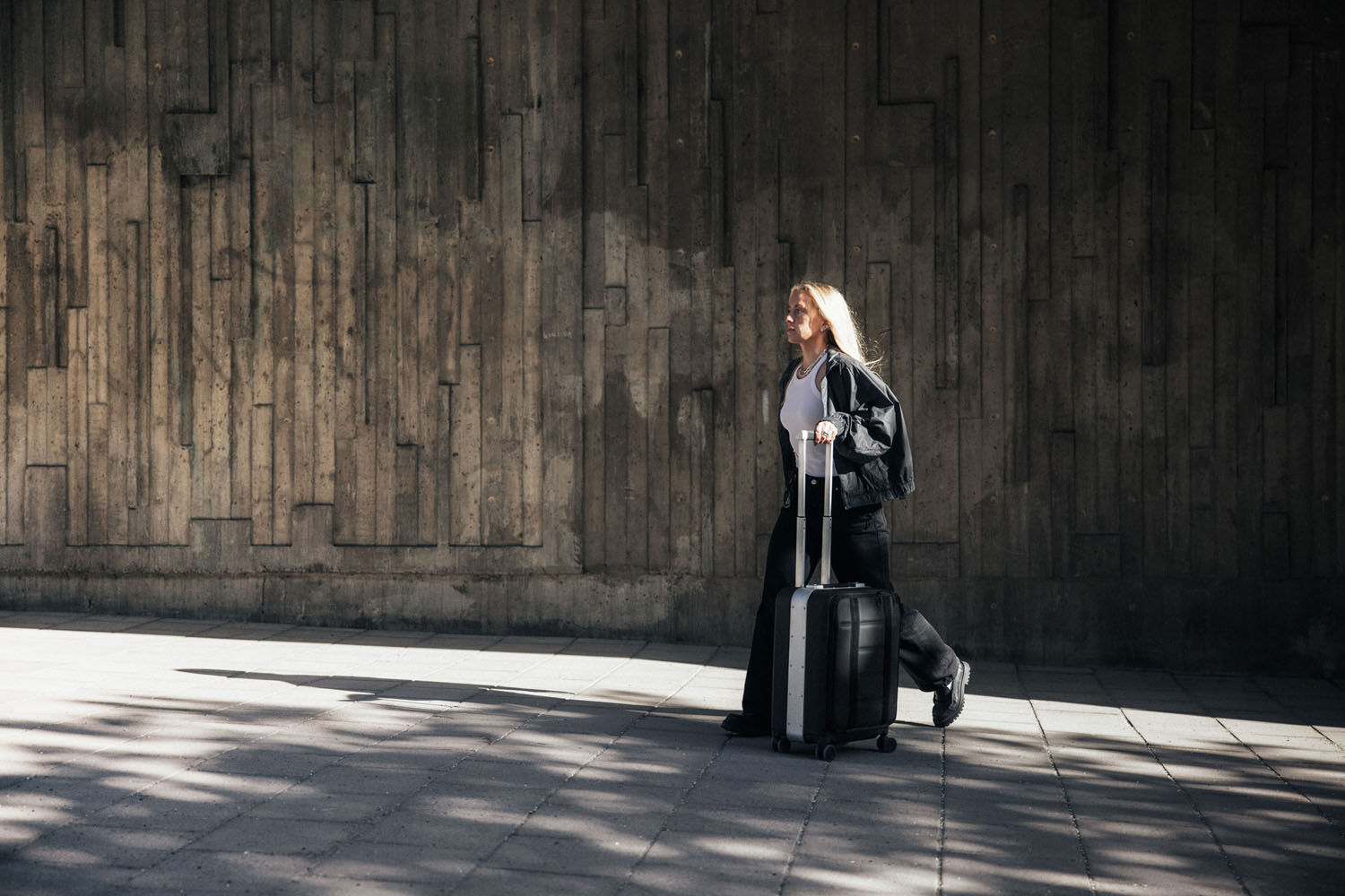 D_b_ Ramverk Pro Carry-on mit Aluminiumrahmen Silver