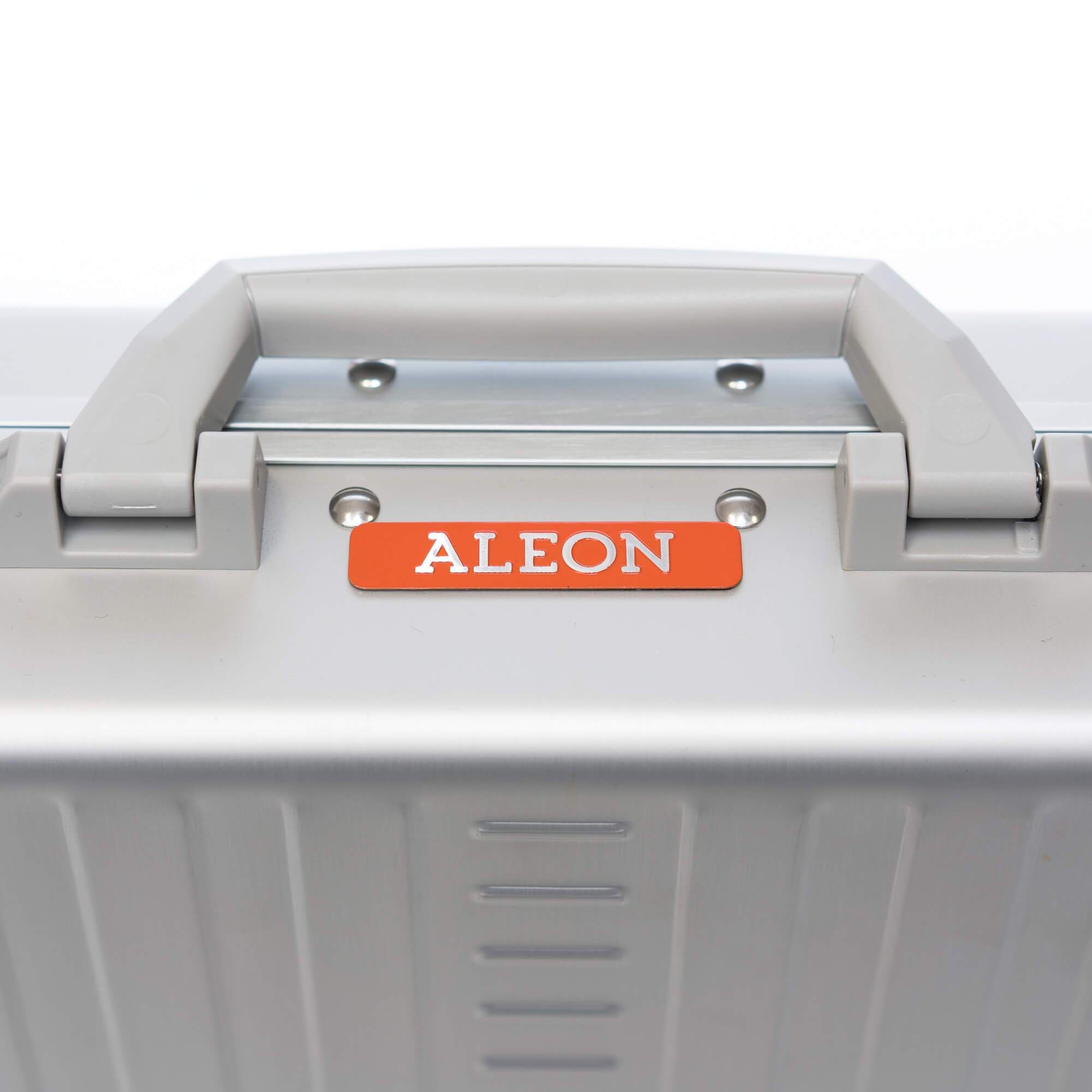 Aleon Traveler Suiter Macro 30",  mit Kleidersack Platin - Silber